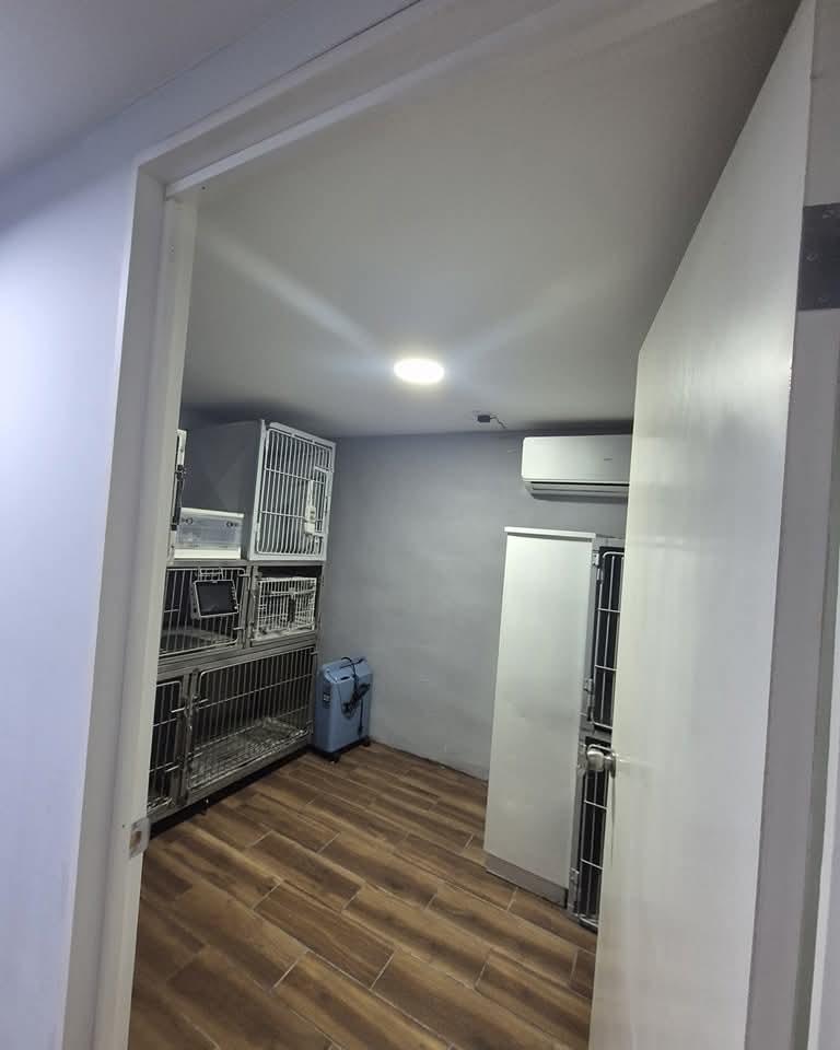 Área de hospitalización para pacientes