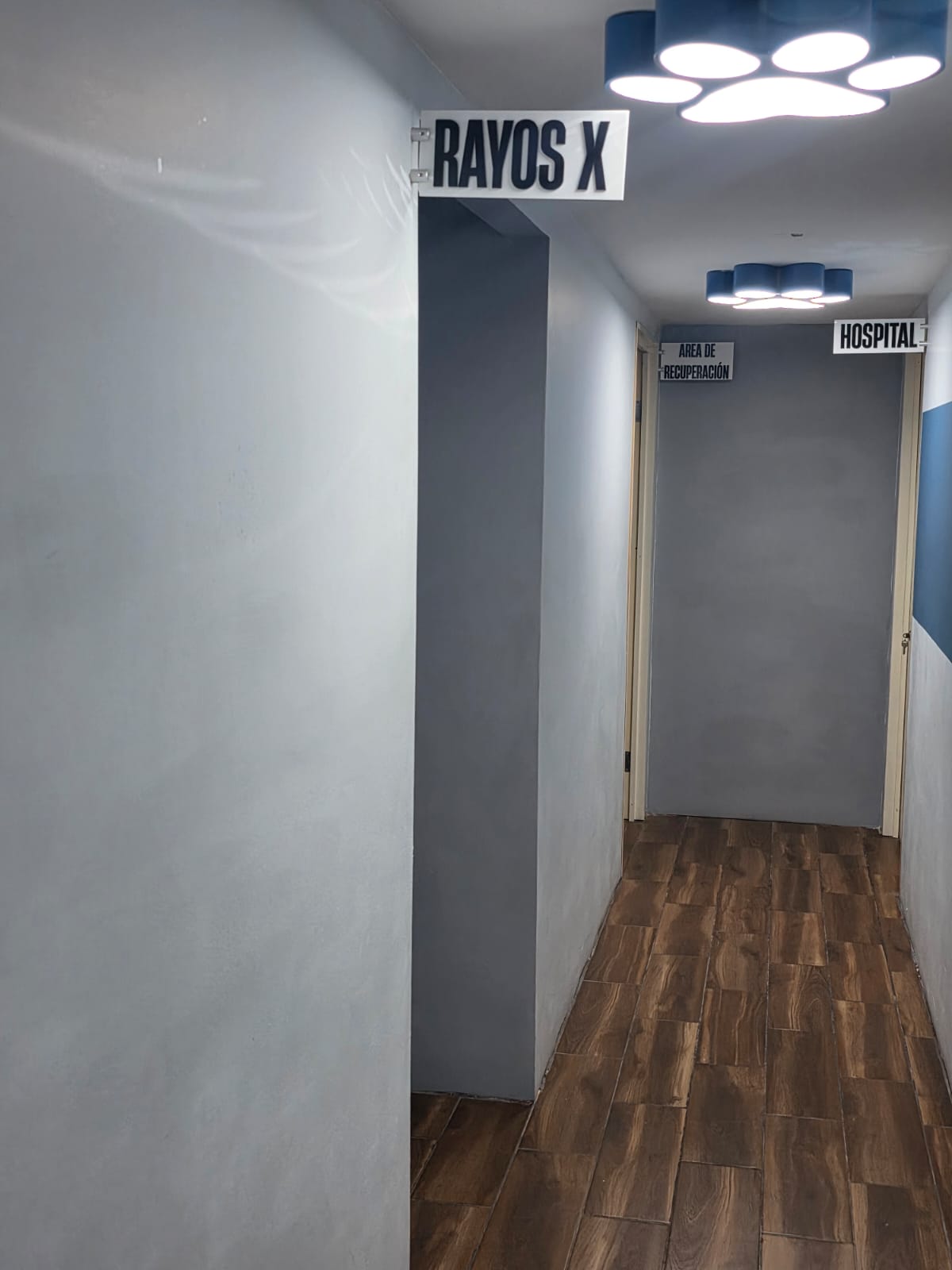Pasillo de hospital veterinario