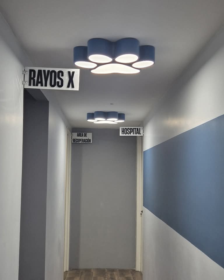 Pasillo del área de rayos X