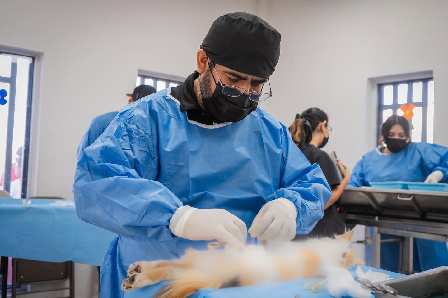 MVZ. Mateo Salazar Guerrero